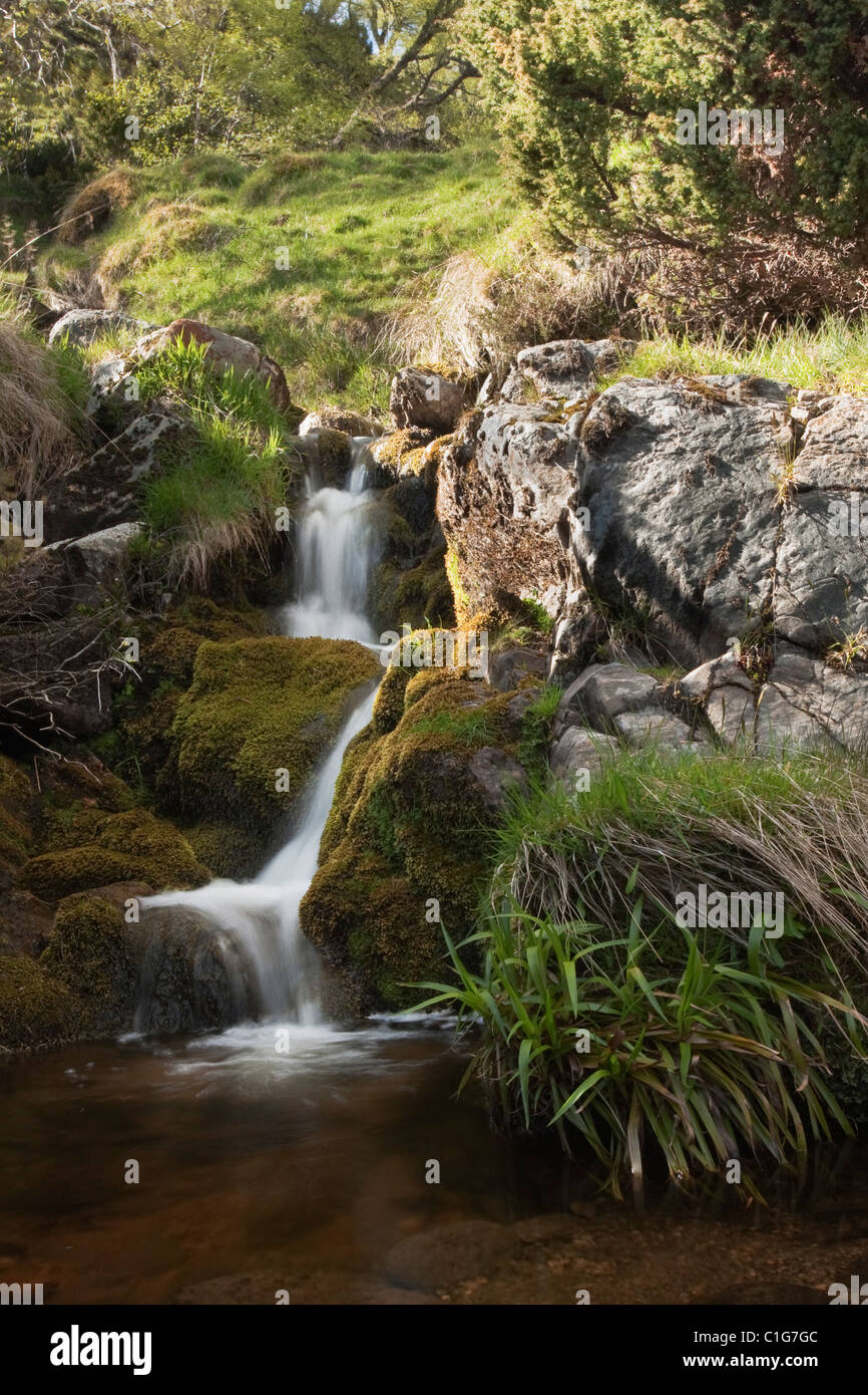 Piccole cascate nella valle di Findhorn. Foto Stock