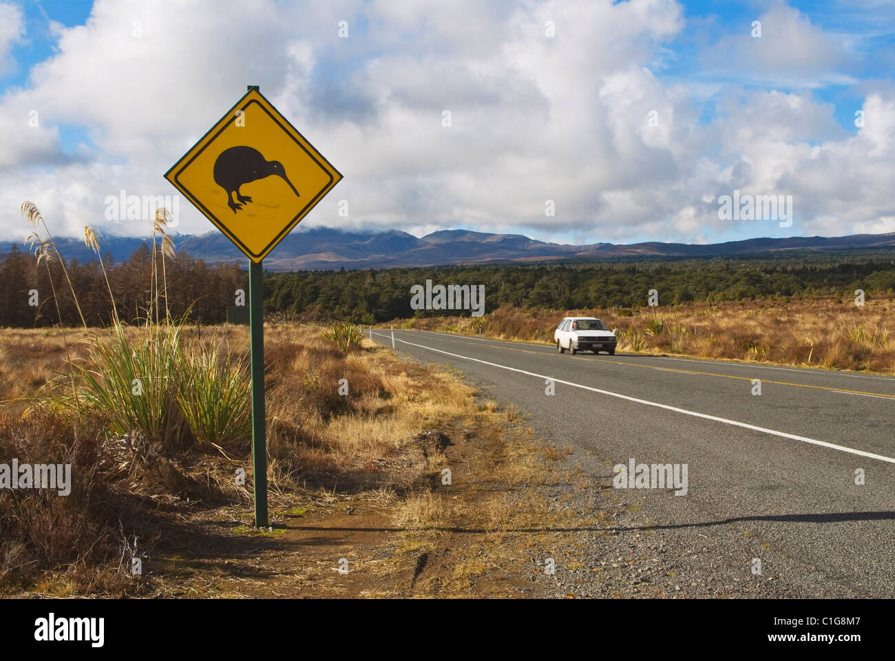 Avviso di Kiwi cartello stradale, Ohakune area, Nuova Zelanda Foto Stock