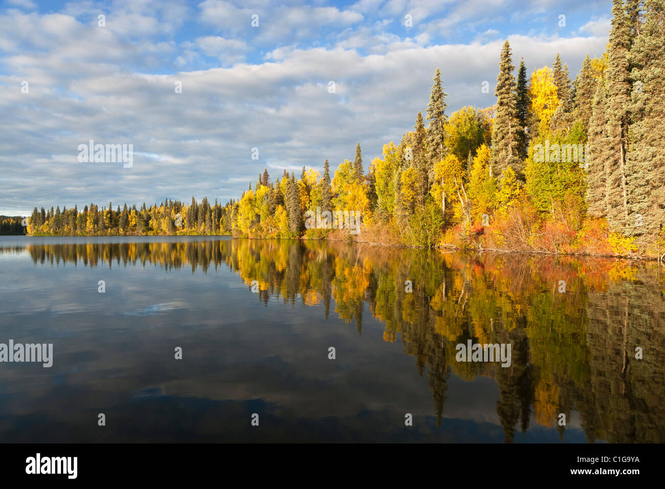 I colori dell'autunno e riflessioni sul lago Byers, Denali parco dello stato interno in Alaska. Mattina. Foto Stock