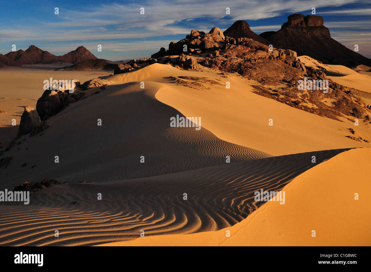 Il paesaggio del deserto Foto Stock