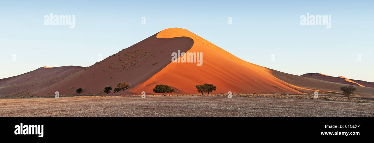 Vista delle dune di sabbia a Sossusvlei nel deserto del Namib. Namib Foto Stock