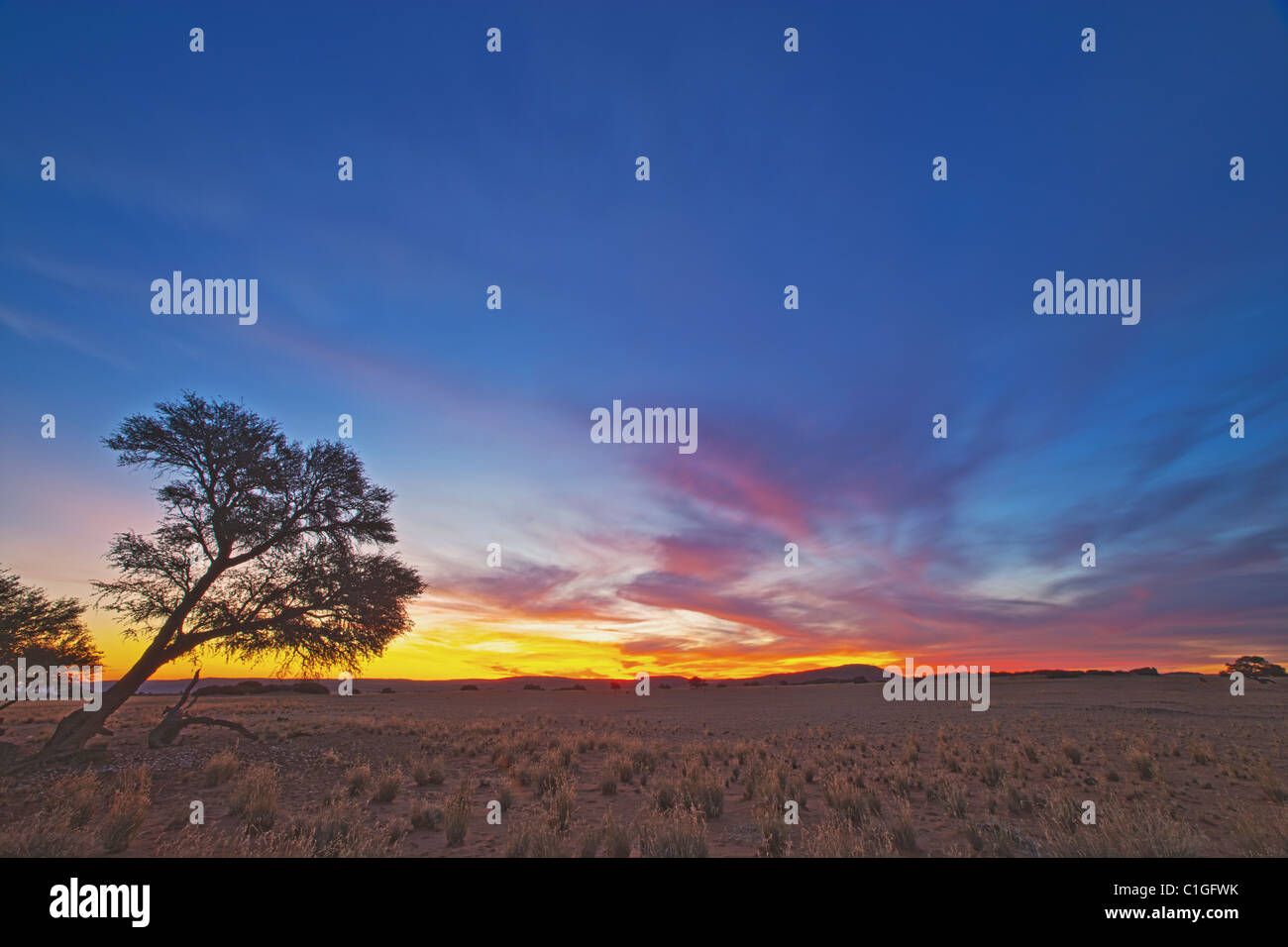Vista panoramica del NamibRand Riserva Naturale Foto Stock
