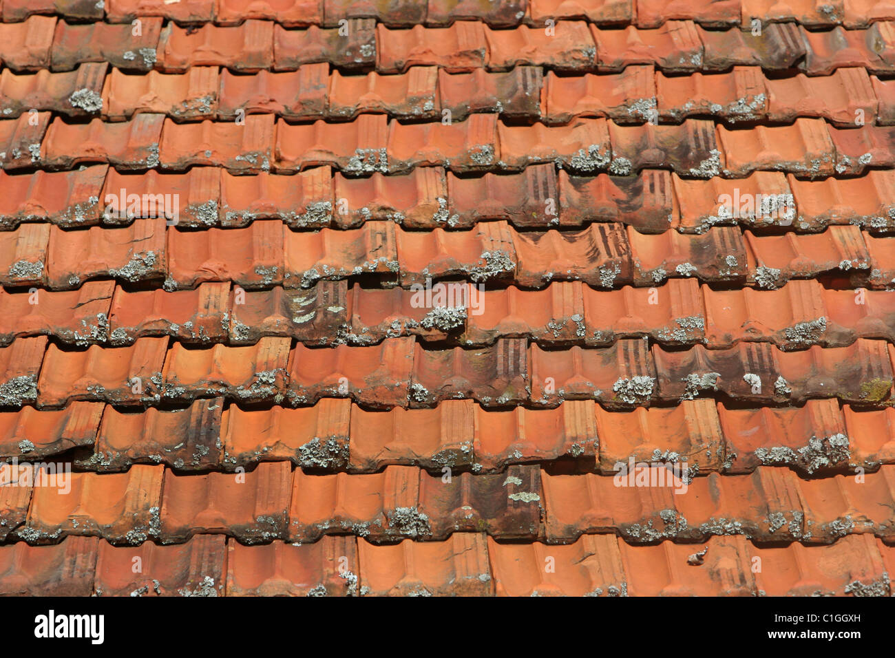 Piastrelle in argilla tetto modello arancione moss piastrelle Foto Stock
