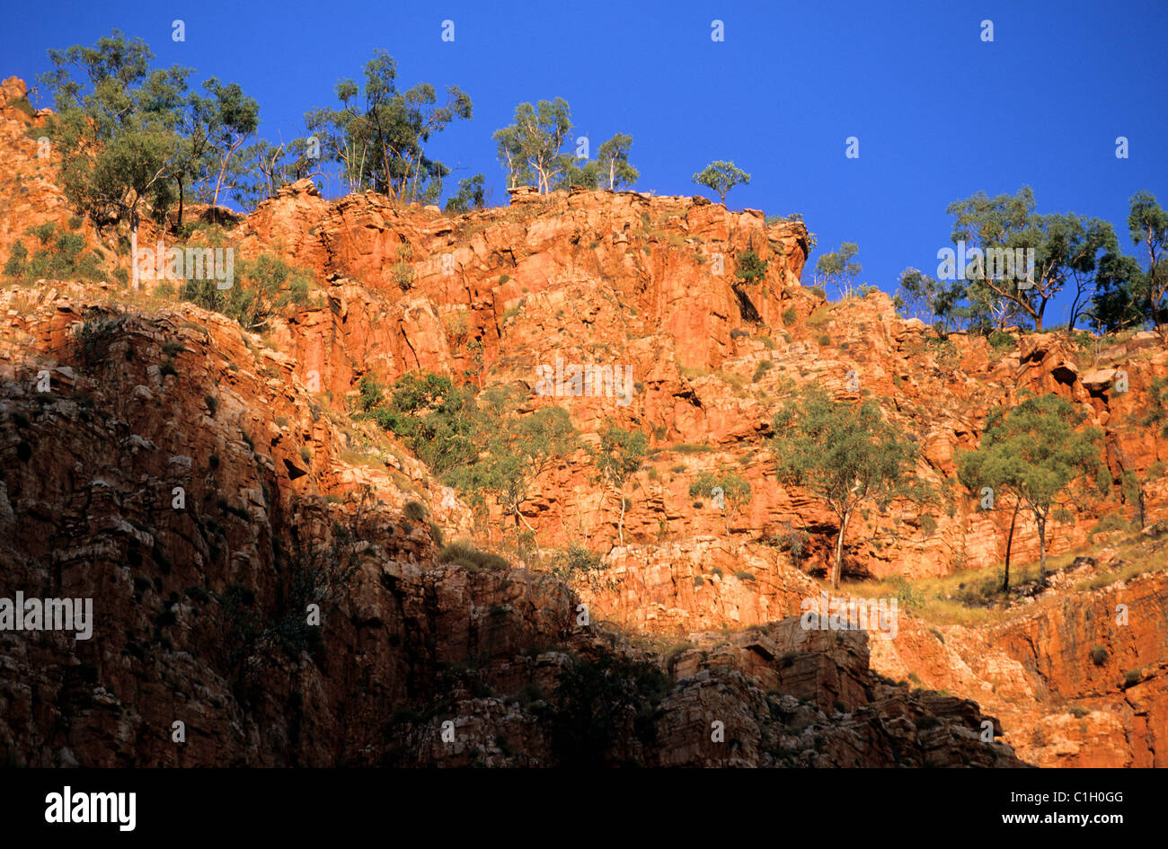 Australia, Australia occidentale, il Kimberley's, Emma Gorge vicino a El Questro Foto Stock