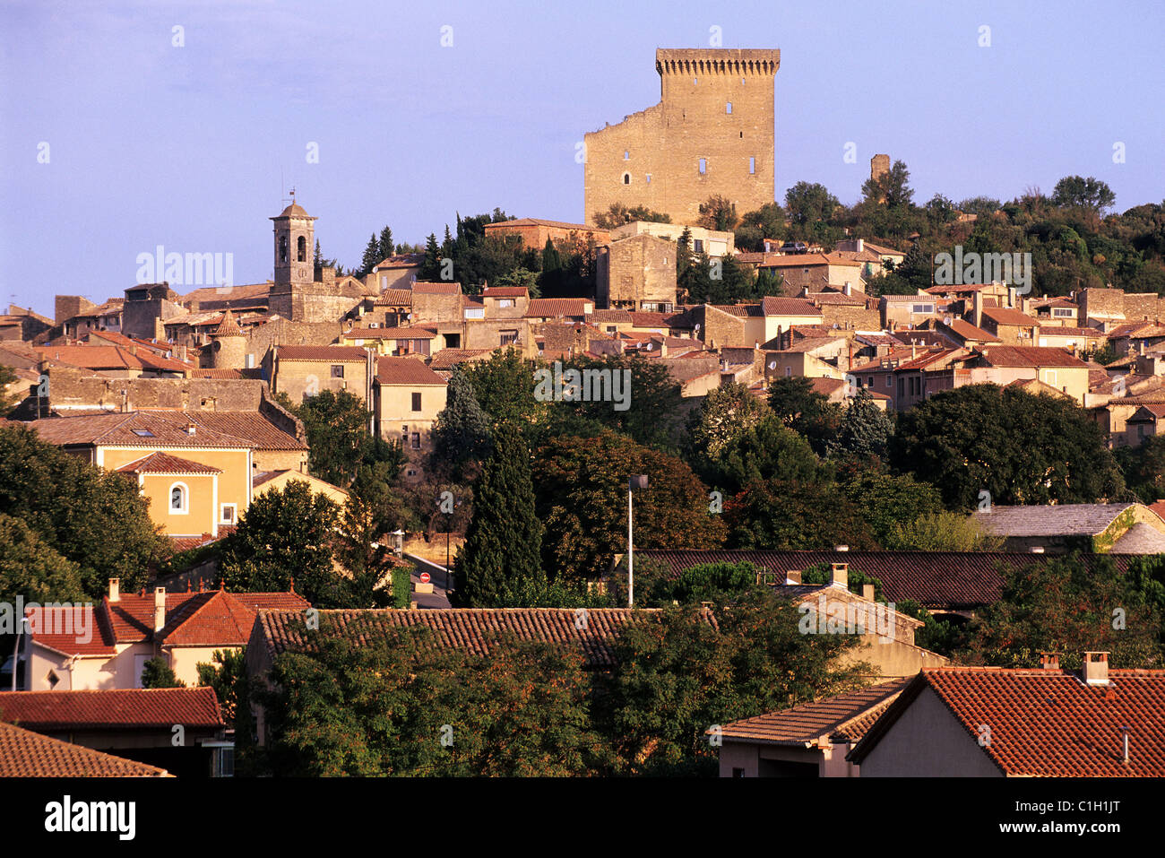 Francia, Vaucluse Chateauneuf du Pape Foto Stock