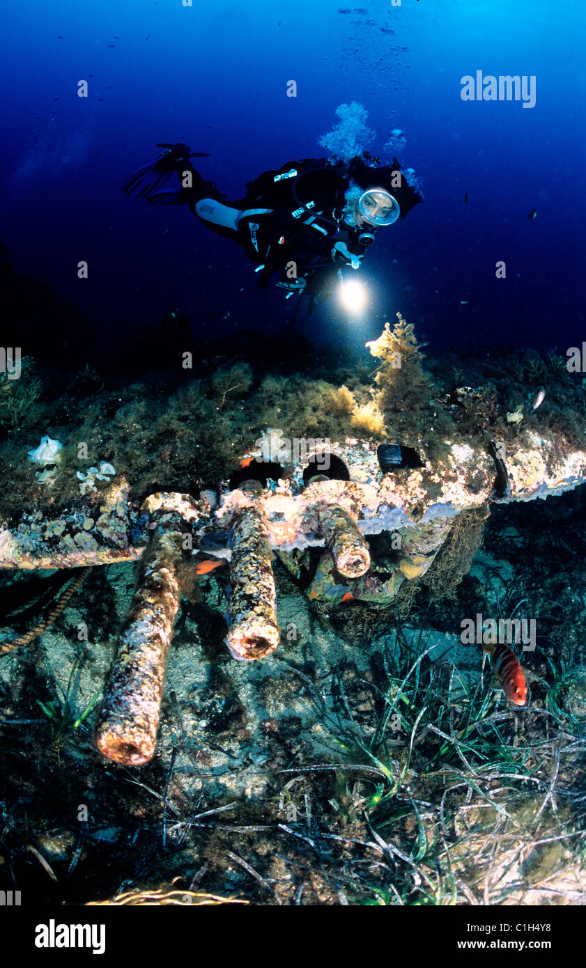 Francia, Haute Corse, Cap Corse, relitto della mitragliatrice della p47 di Santa Severa Foto Stock