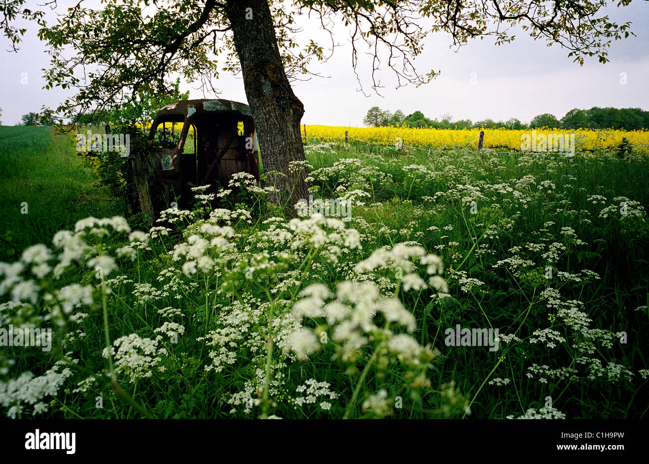 Francia, Meurthe et Moselle, campagna verso eville Lun Foto Stock