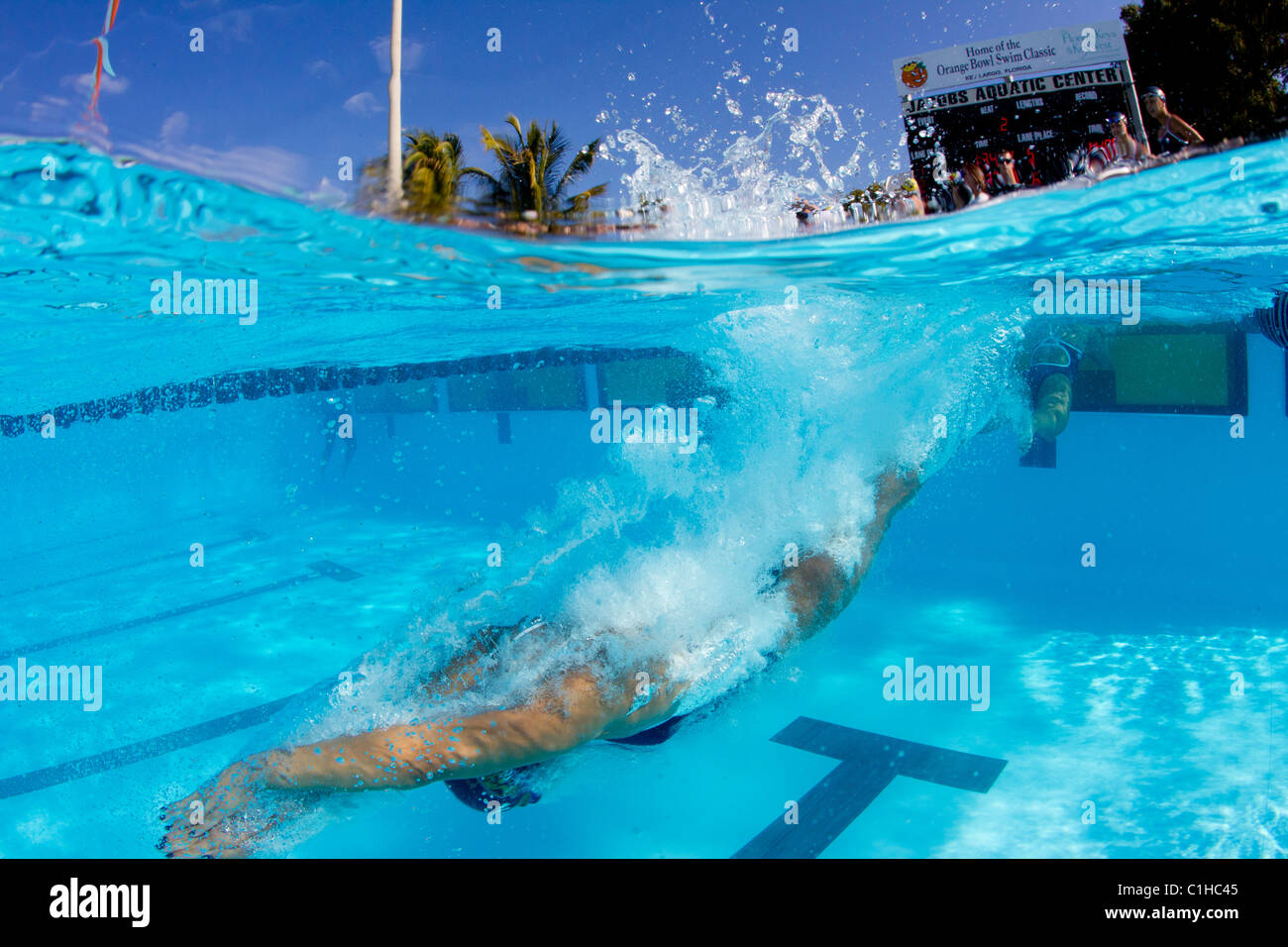 Concorrente maschio nella collegiata Orange Bowl Nuoto pratiche classico iniziale blocco entrata Foto Stock