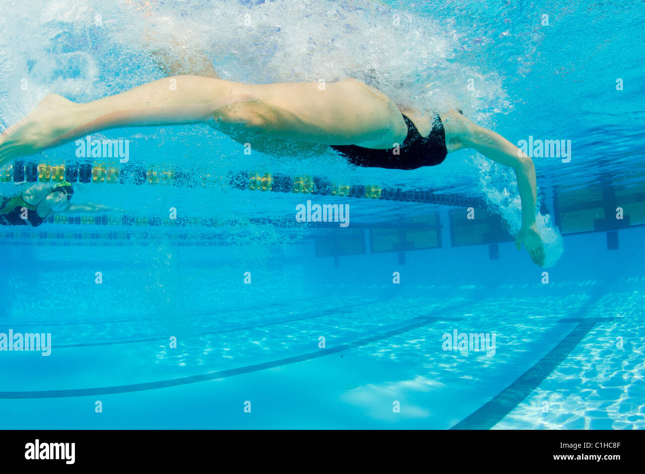 I nuotatori femmina competere in una piscina di Freestyle evento presso l annuale Orange Bowl Nuoto Classic, Key Largo, Florida Foto Stock