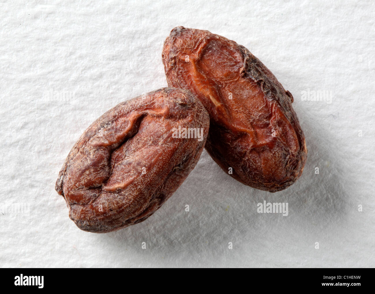 FAVE DI CACAO Foto Stock