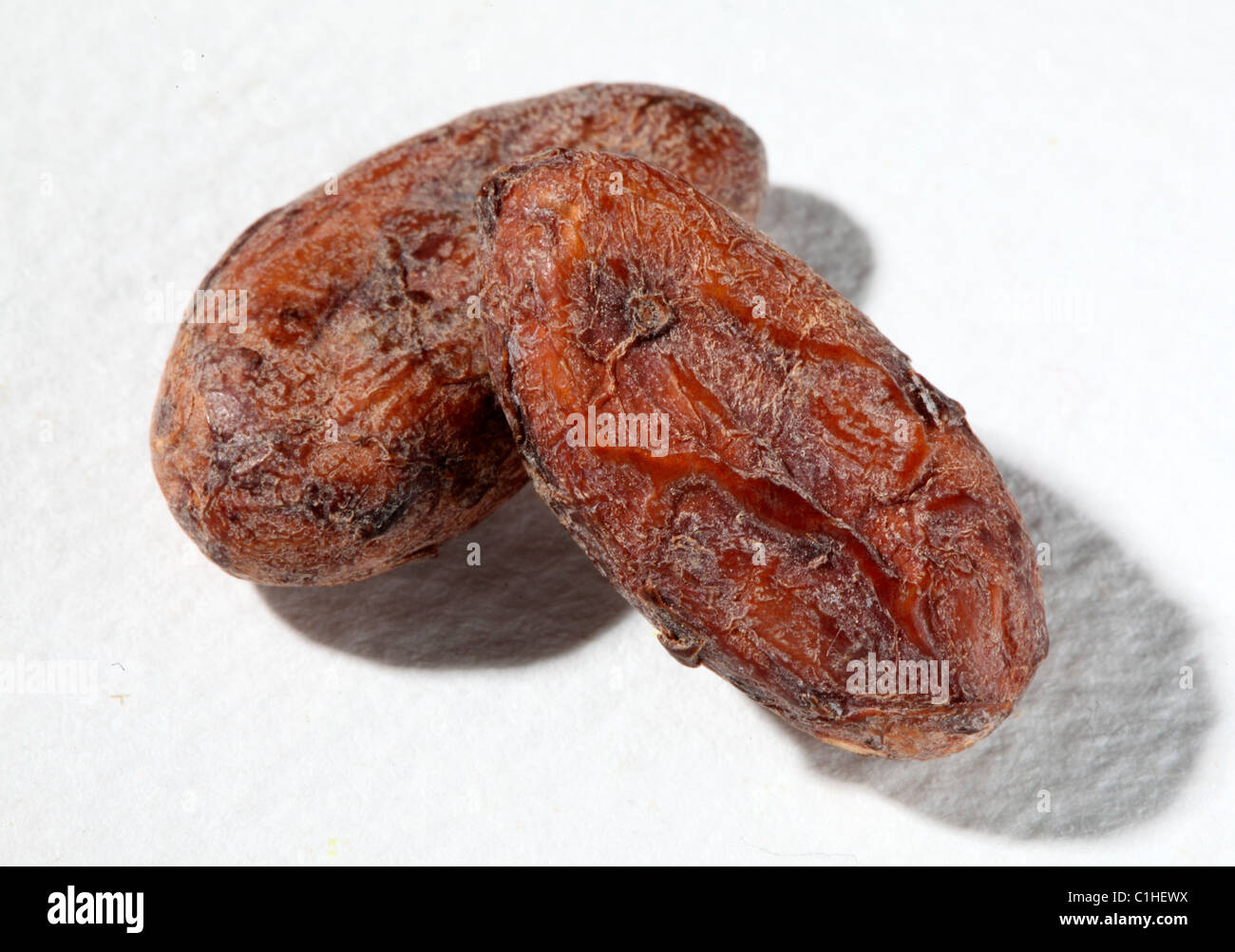 FAVE DI CACAO Foto Stock