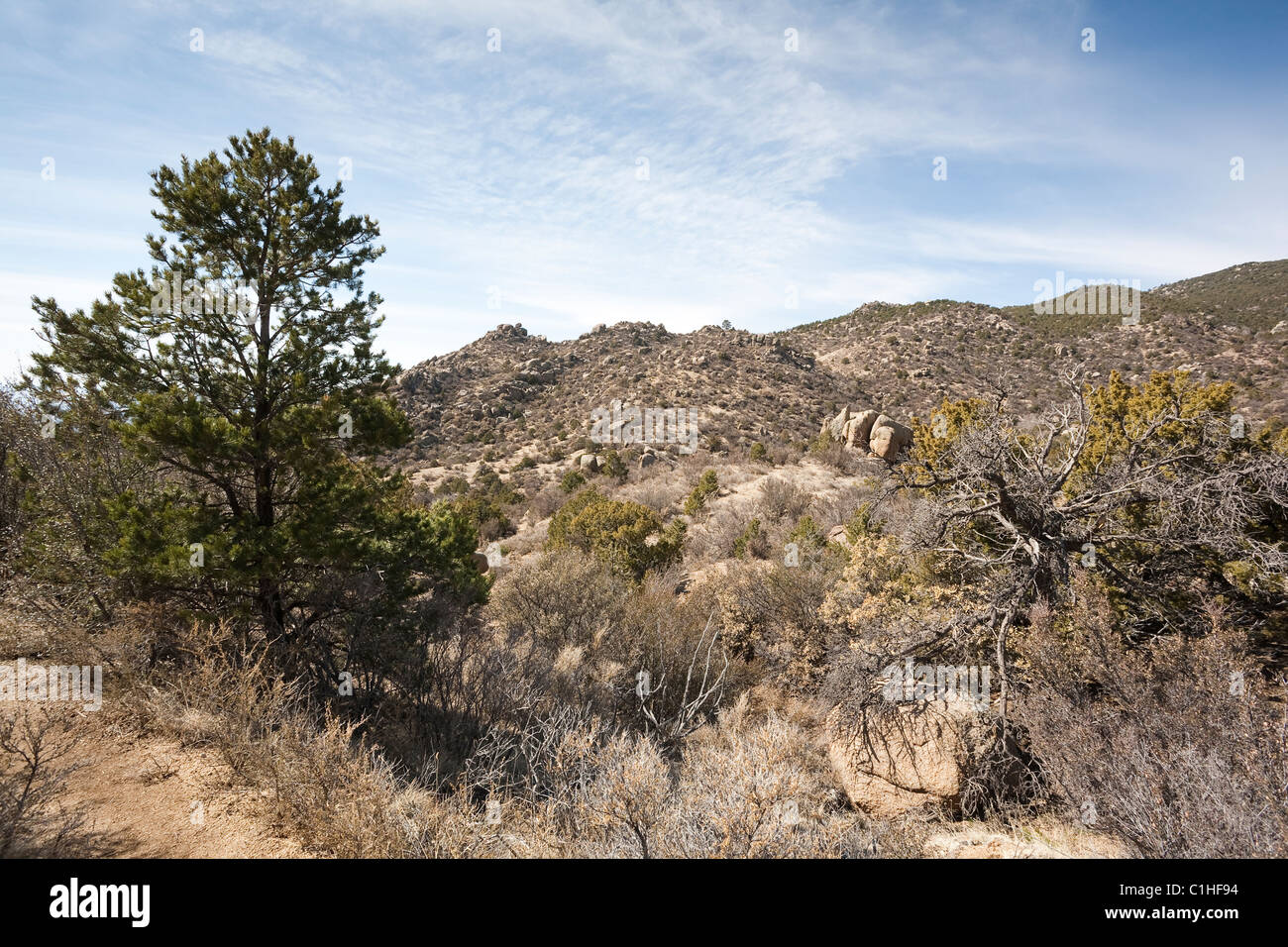 Imbiancare Trail, Sandia Mountain Wilderness - Albuquerque, Nuovo Messico Foto Stock