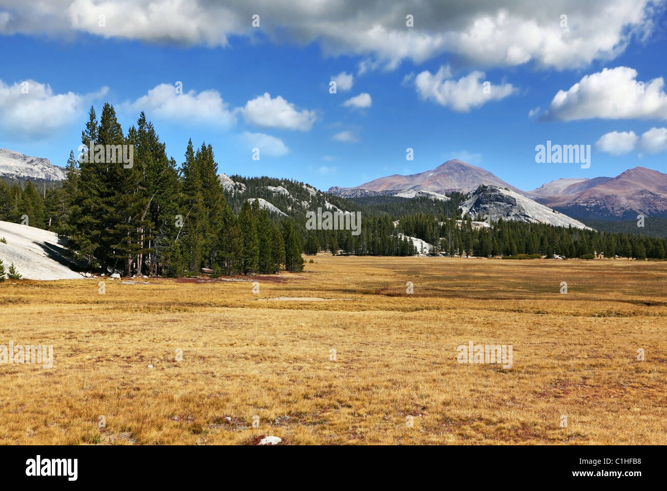 Una parte tranquilla di Yosemite Park Foto Stock