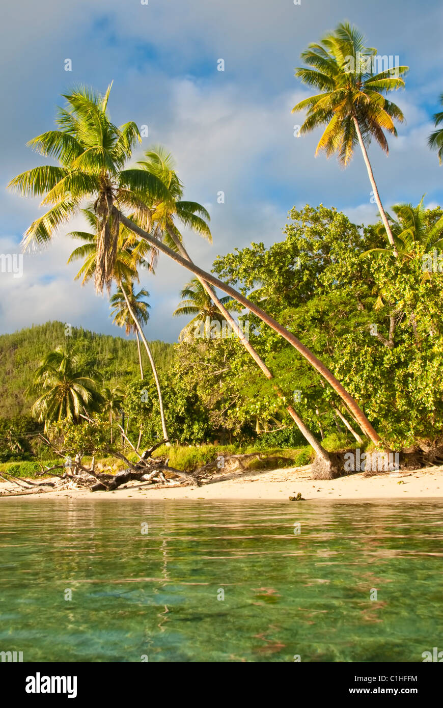 Spiaggia tropicale in Polinesia francese Foto Stock