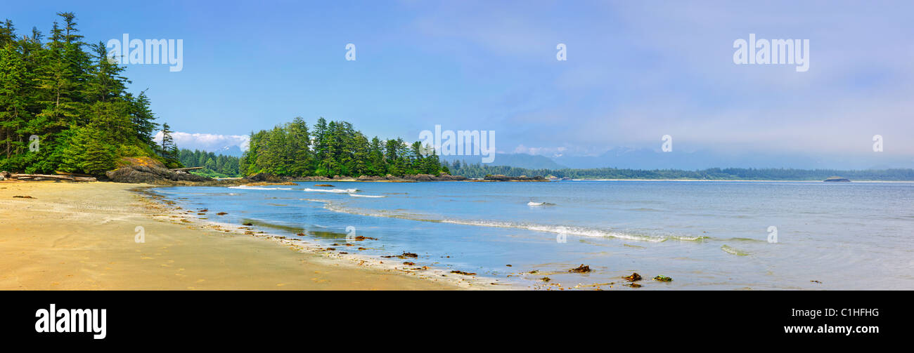 Vista panoramica della spiaggia lunga shore in Pacific Rim National Park, Canada Foto Stock
