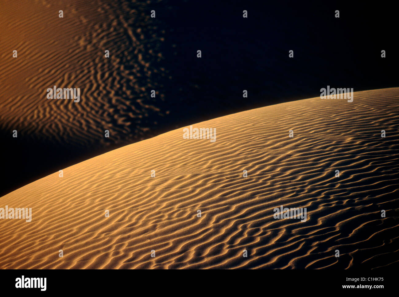 Dune di sabbia a duna imperiale stato parco vicino a Yuma, California Foto Stock