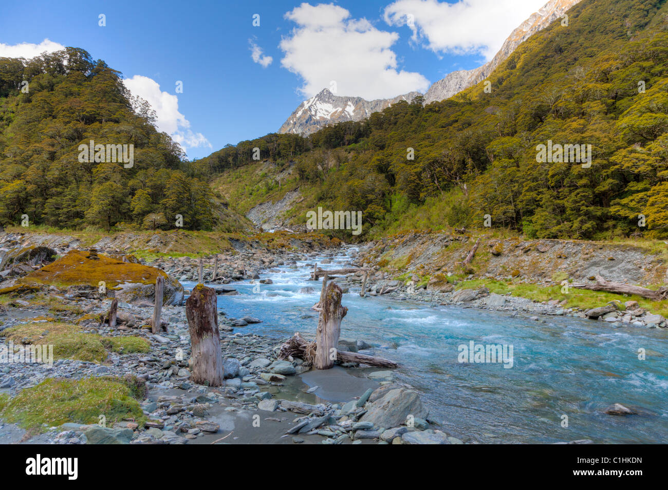 La tomaia Wilkin river valley sull'isola del sud della Nuova Zelanda Foto Stock