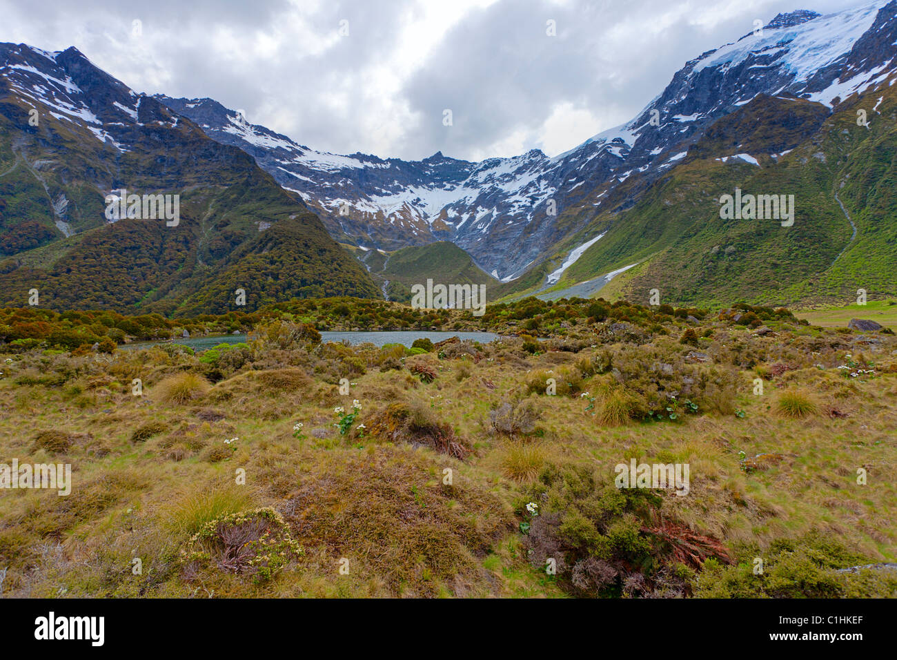 Nuova Zelanda paesaggio Foto Stock