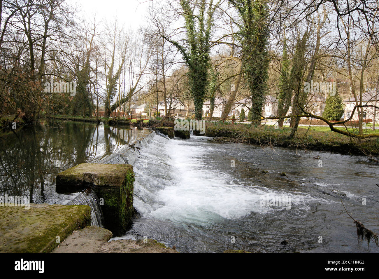 Weir a Bakewell Derbyshire oltre il fiume Wye oltre la trota di fiume pieno di bellissimi acqua chiara in prossimità dell'acqua prati Foto Stock