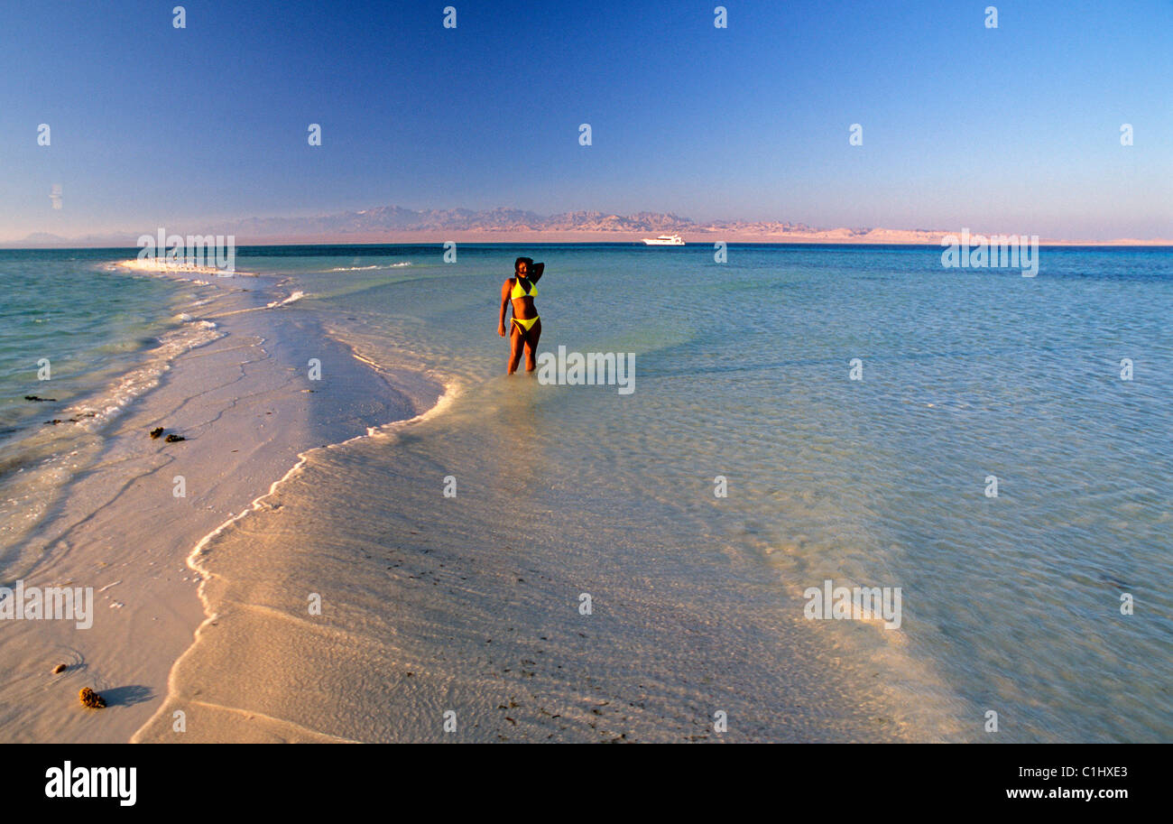 Egitto, Mar Rosso, spiaggia e isola vicino a Sharm el Sheikh Foto Stock