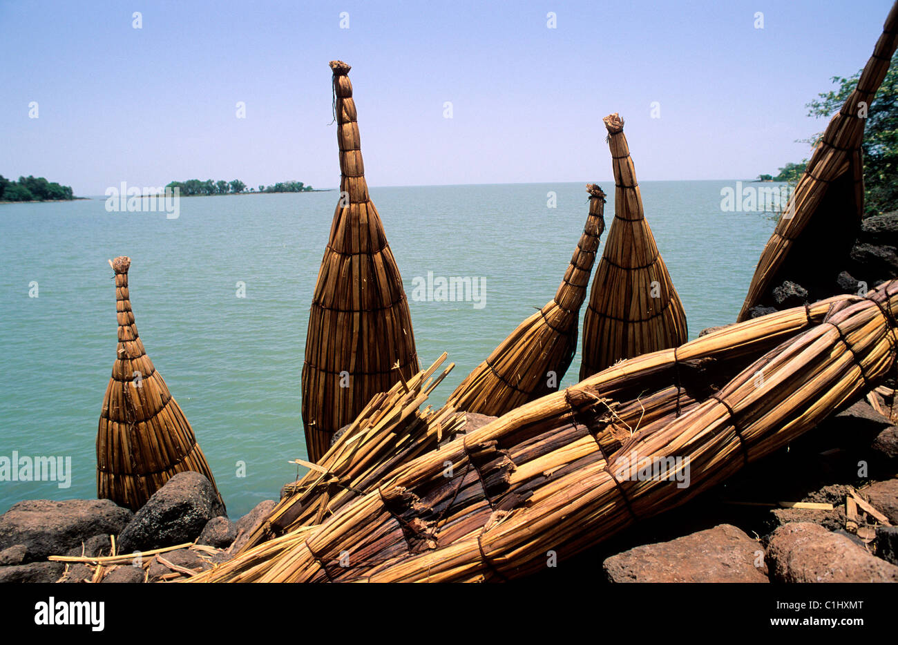 In Etiopia, in Abissinia, regione del Gondar, Lago Tana, navicelle di papiro Foto Stock