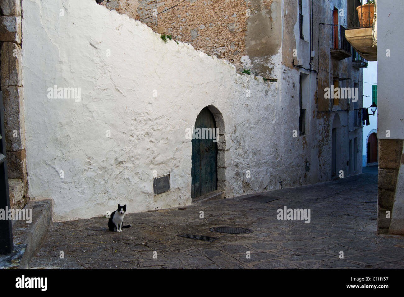Ibiza, Paesaggio, architettura Foto Stock