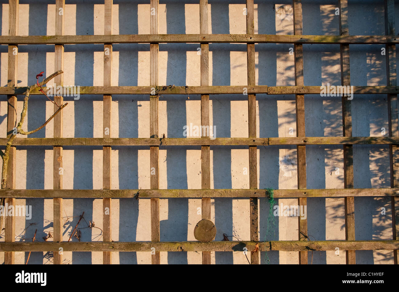 Una sezione di legno leggero impianto a traliccio di supporto contro un muro di cemento. Foto Stock