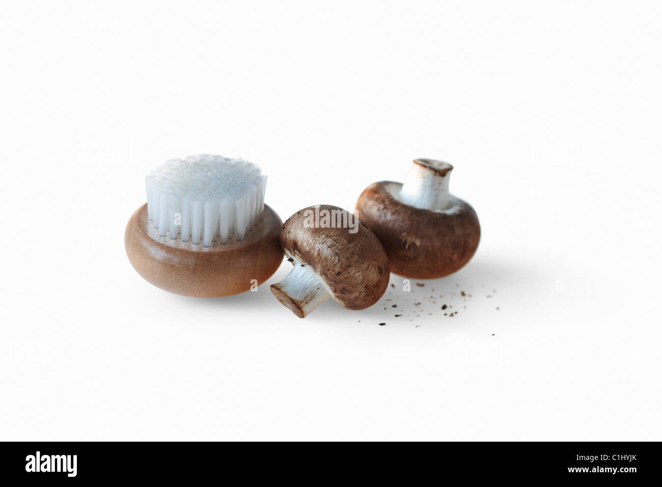Funghi champignon e spazzola Scrub Foto Stock