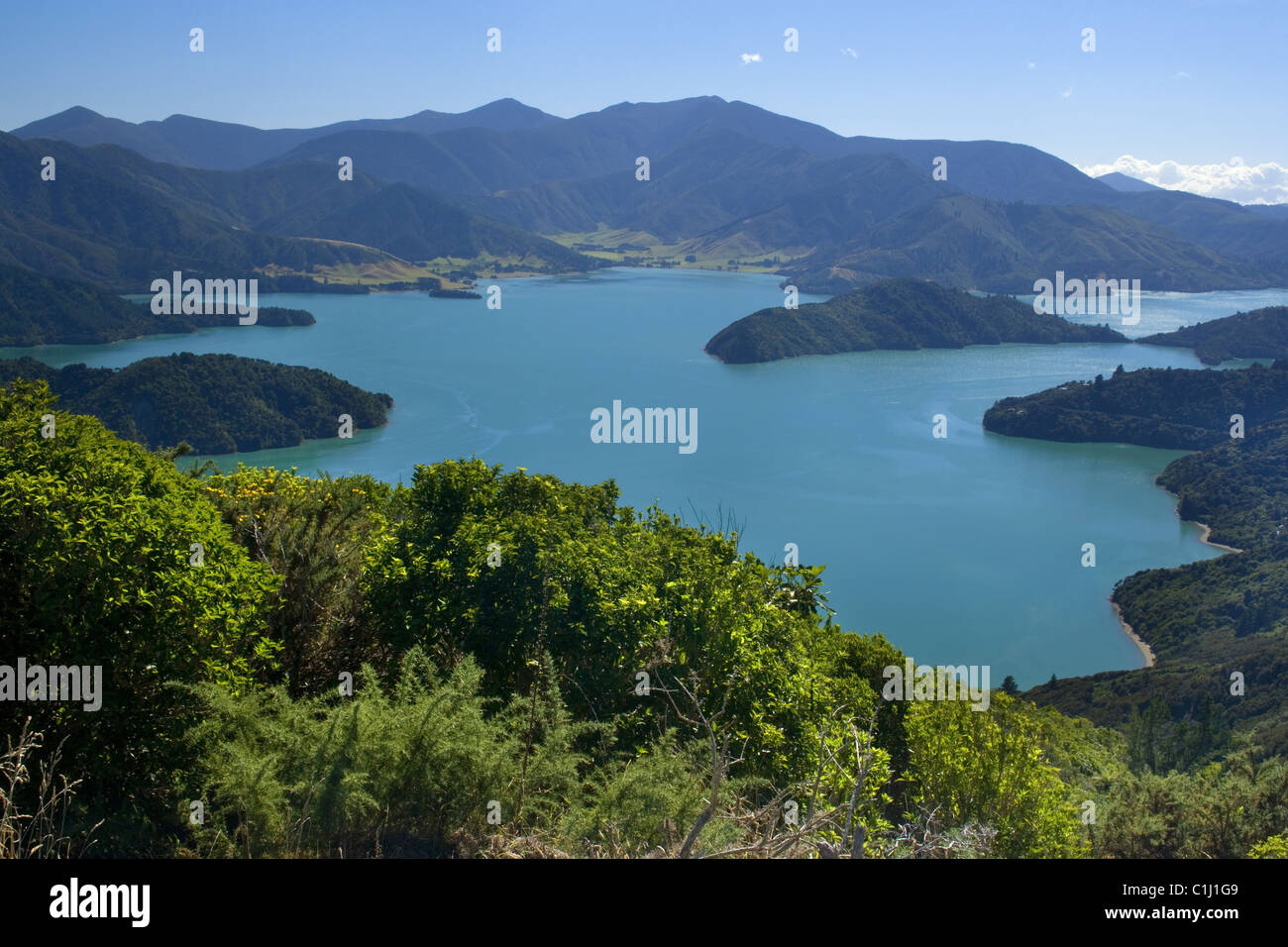 Marlborough Sounds, Nuova Zelanda Foto Stock