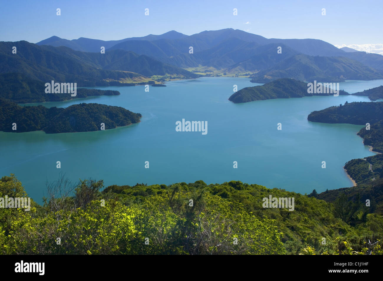 Marlborough Sounds, Nuova Zelanda Foto Stock