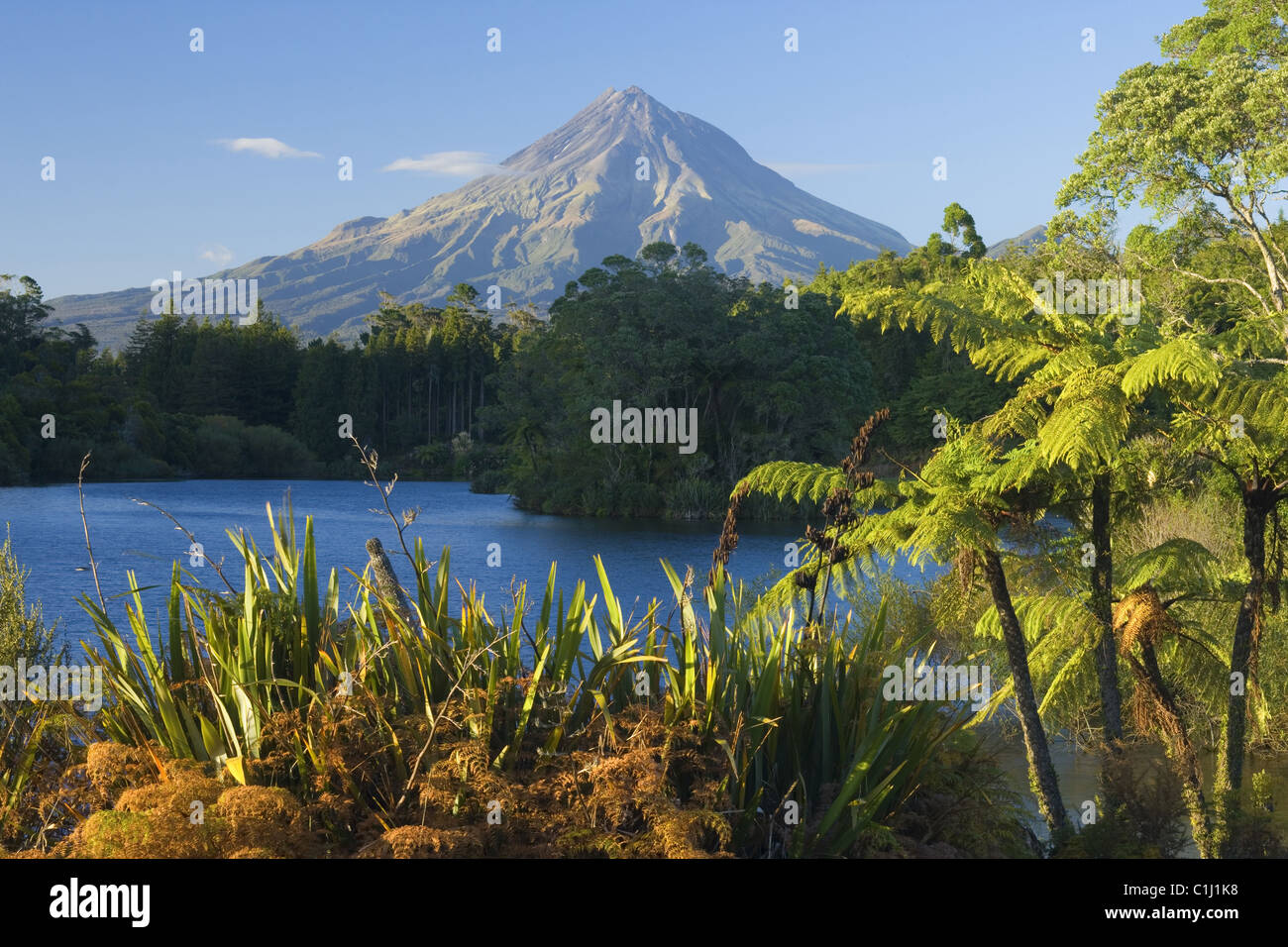 Mount Egmont, Nuova Zelanda Foto Stock