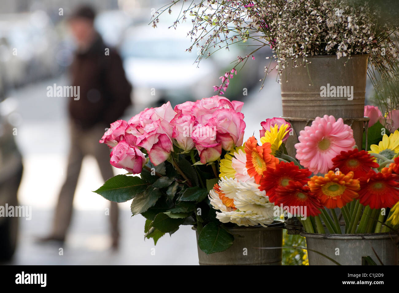 Scena di strada, Torino, Italia Foto Stock