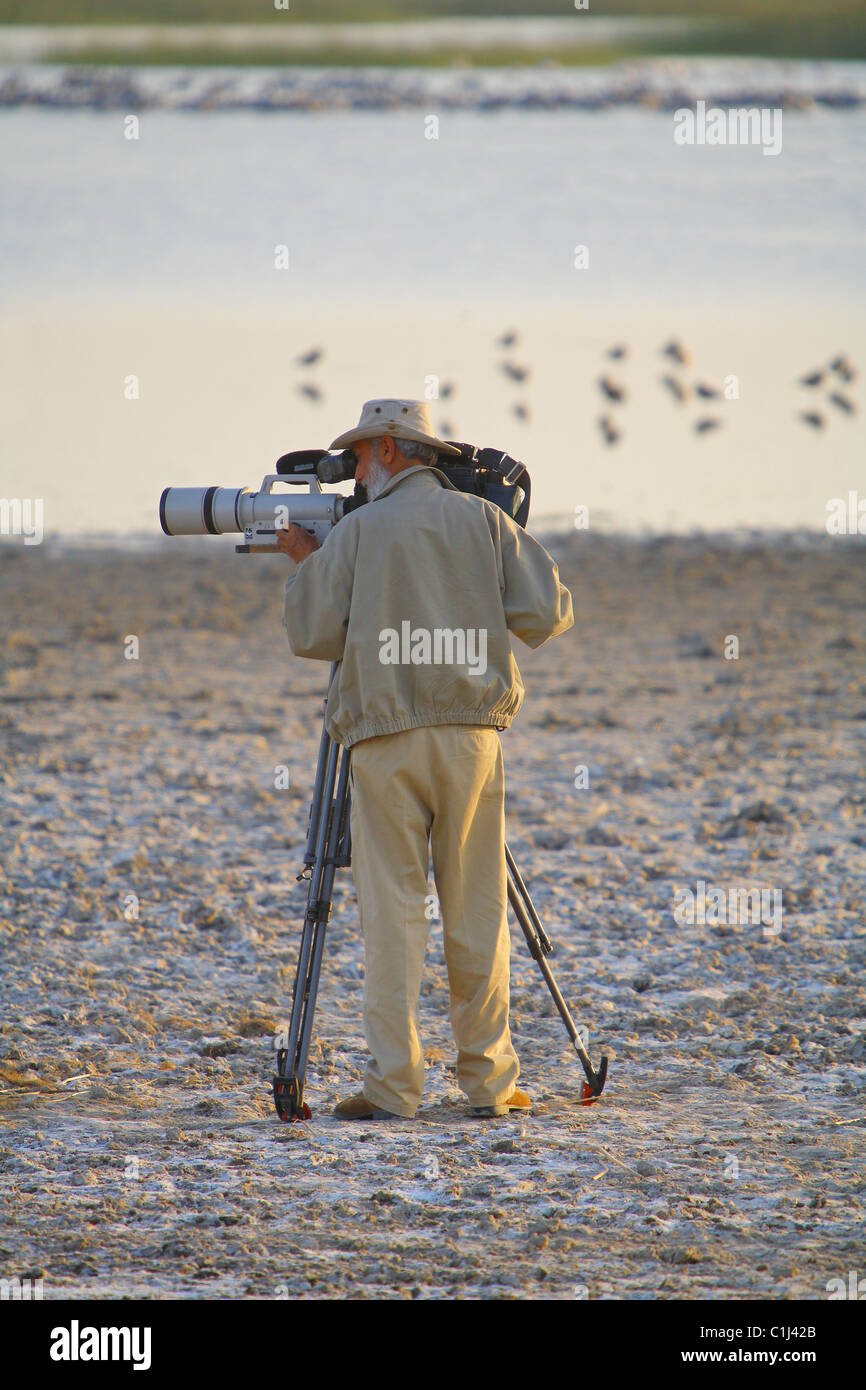 Un Wildlife Photographer le riprese di uccelli acquatici con Canon 1200 mm lente a Little Rann di Kutchh Gujrat India Foto Stock Un Wildlife Photographer le riprese di uccelli acquatici con Canon 1200 mm lente a Little Rann di Kutchh Gujrat India Foto Stock