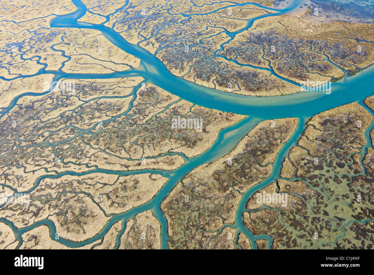 Marismas del Odiel Riserva della Biosfera, provincia di Huelva, Andalusia, Spagna Foto Stock