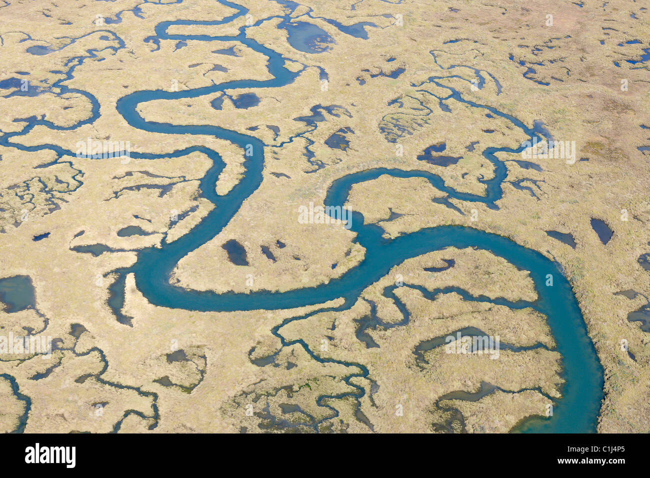 Marismas del Odiel Riserva della Biosfera, fiume Odiel, provincia di Huelva, Andalusia, Spagna Foto Stock
