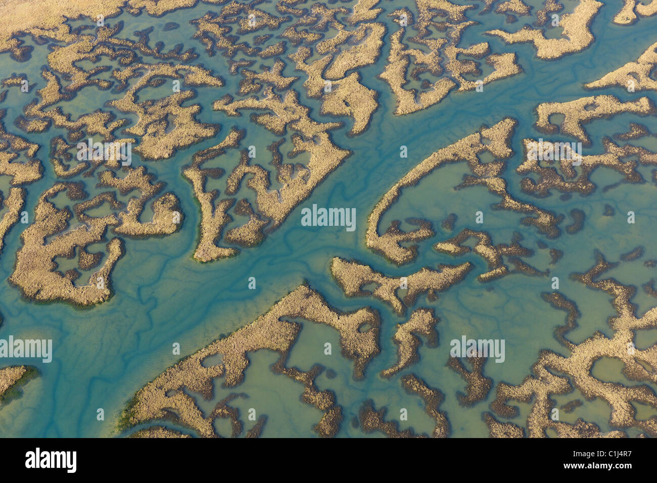 Marismas del Odiel Riserva della Biosfera, fiume Odiel, provincia di Huelva, Andalusia, Spagna Foto Stock