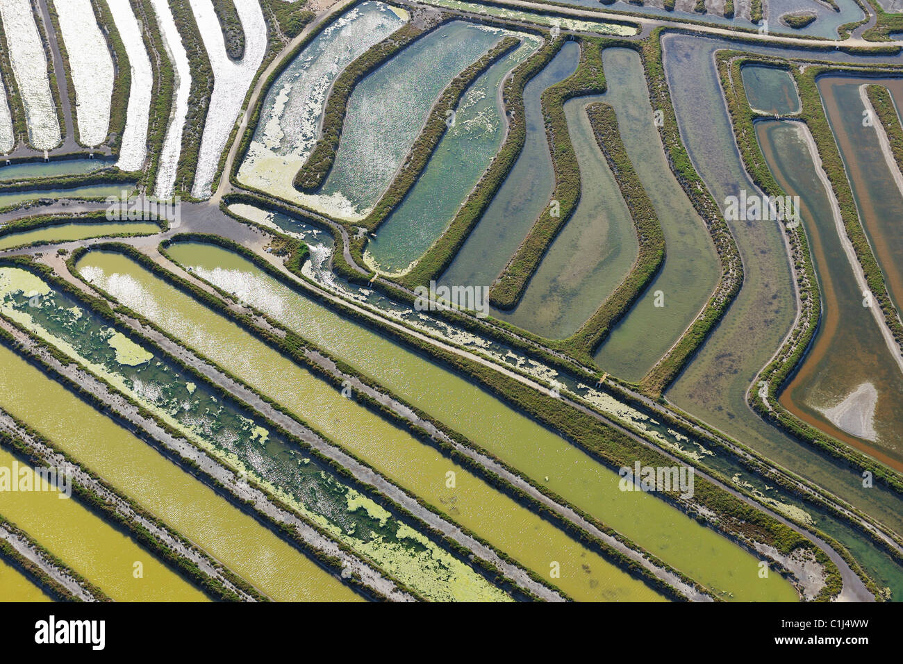 Vista aerea di acquacoltura nel Golfo di Cadice, Costa de la Luz, la provincia di Cadiz Cadice, Andalusia, Spagna Foto Stock