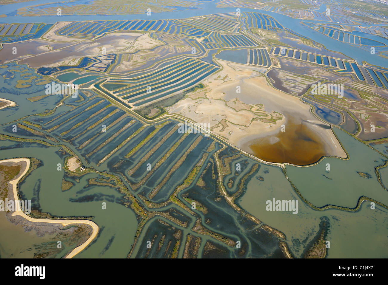 Vista aerea del Aquacultures nella Baia di Cadice, Costa de la Luz, la provincia di Cadiz Cadice, Andalusia, Spagna Foto Stock