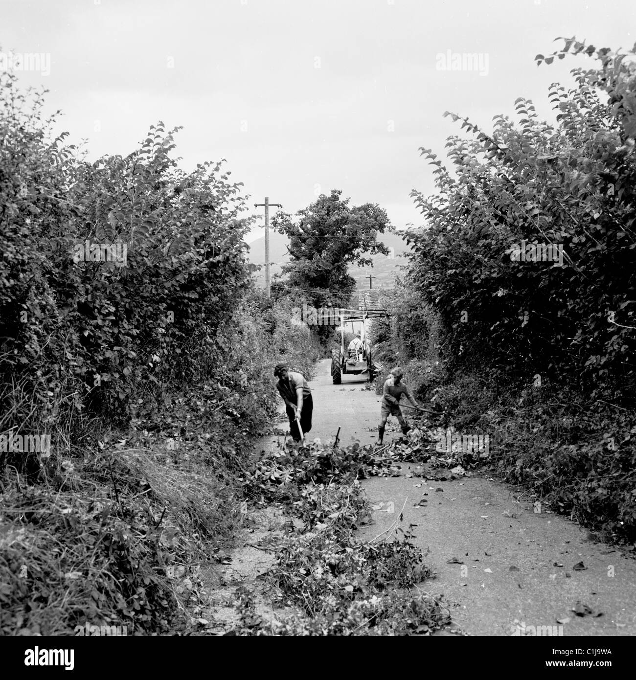 Anni '1950, storico, due ragazzi che spazzano i rami caduti dalle siepi tagliate su una piccola strada di campagna, Inghilterra, Regno Unito. Foto Stock