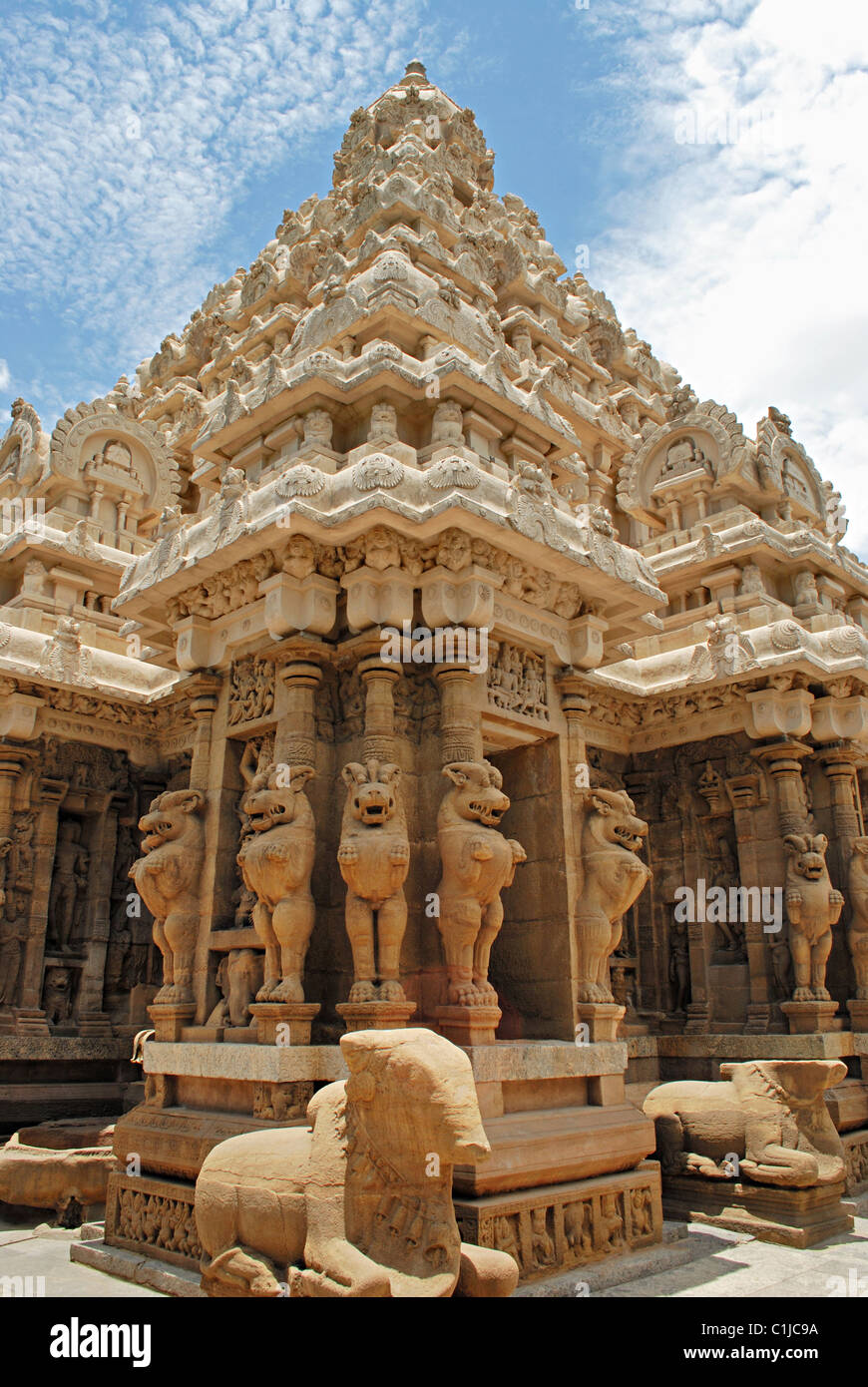 Yalis, IX secolo D.C., Kailasanatha Temple, Kanchipuram, Tamil Nadu, India. Allevamento Yalis decorano il tempio. Foto Stock