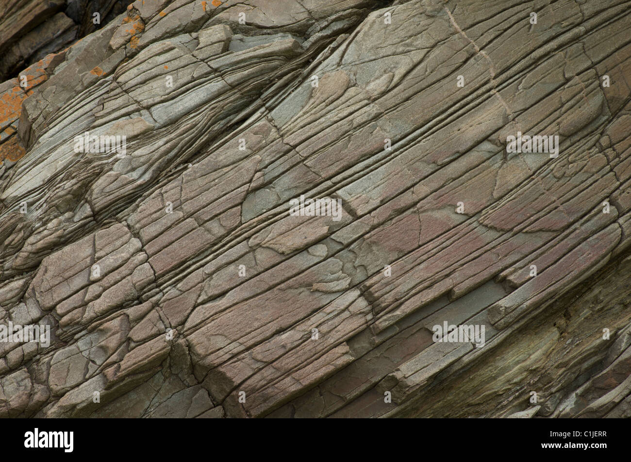Antica strati di roccia vicino a Holyhead, formato circa 600,milioni di anni fa Foto Stock