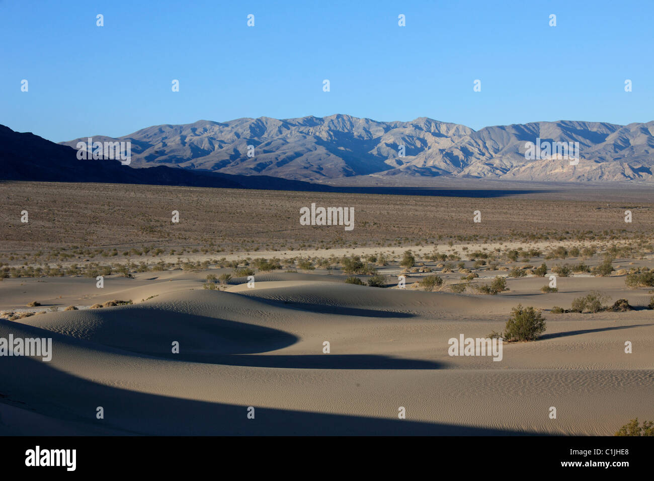 Stati Uniti, California, Valle della Morte, Parco Nazionale, Mesquite Flat, dune di sabbia, Foto Stock