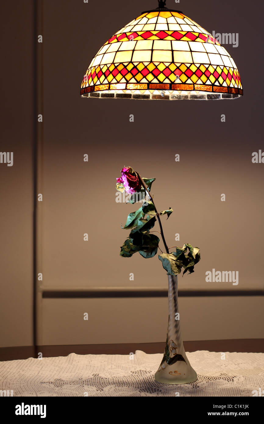 Una rosa appassita in vaso di vetro sotto luce pendente Foto Stock