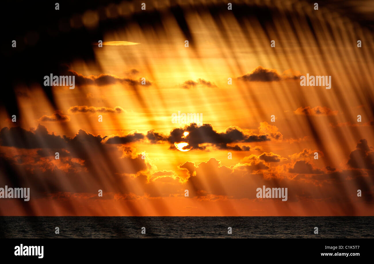 Tramonto tropicale visto attraverso un ramo di palma, Costa Rica Foto Stock
