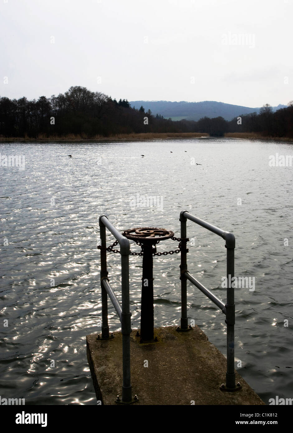 Burton Mills stagno, Petworth West Sussex Foto Stock