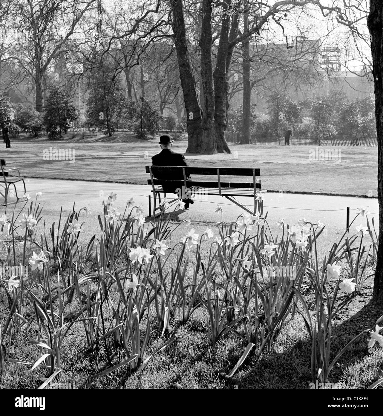 Anni '1950, primavera e narcisi sono fioriti come un gentiluomo di città in un cappello da bowling siede su una panchina in un parco a Lincoln Inn Fields, Londra, Inghilterra, Regno Unito. Foto Stock