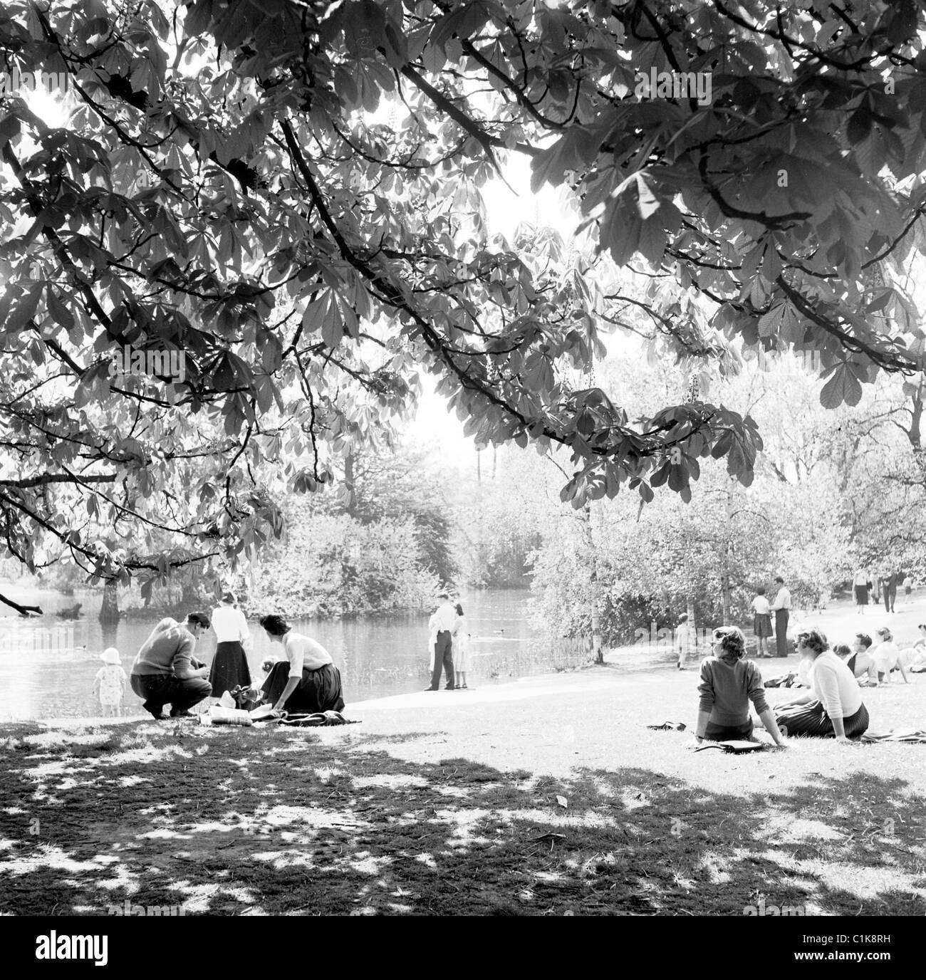 Anni '1950, l'estate e i rami di un albero creano ombre sull'erba mentre la gente si diverte a fare un picnic sul lago a Kew Gardens, Richmond, Londra. Foto Stock