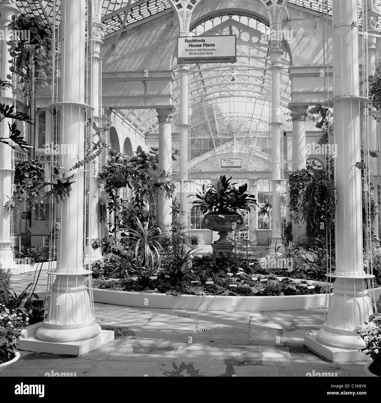 1950, all'interno del conservatorio di Orangery presso i famosi Royal Botanical Gardens di Kew, Richmond, Londra, Inghilterra, Regno Unito. Foto Stock