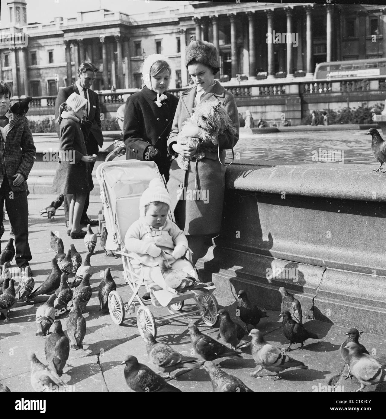 Anni Sessanta, Trafalgar Square, Londra, in piedi da una fontana, una donna tiene il suo piccolo cane, con il suo bambino seduto nella sua carrozzina circondata da piccioni. Foto Stock