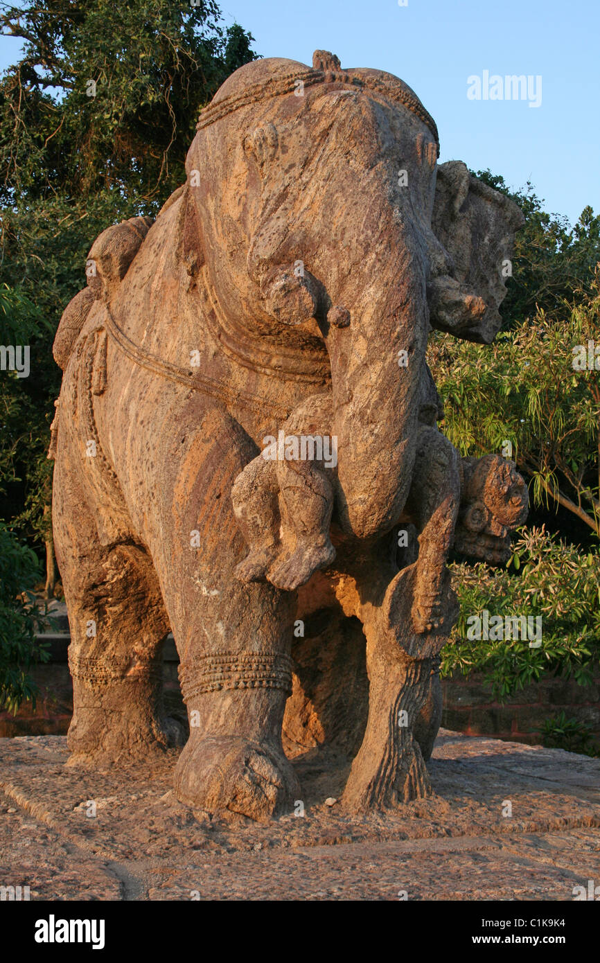 Statua di elefante in prossimità del Gajadvara nella motivazione di Konark Sun Temple, Orissa, India Foto Stock